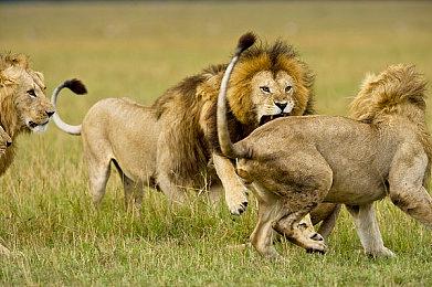 《X4：基石》新资料片“时间线”与7.00更新2024年推出