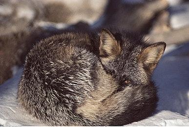 传闻：《使命召唤19：现代战争2》还有9个新游戏模式未发布